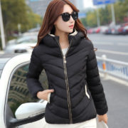 Short Winter Jacket For Women Modern